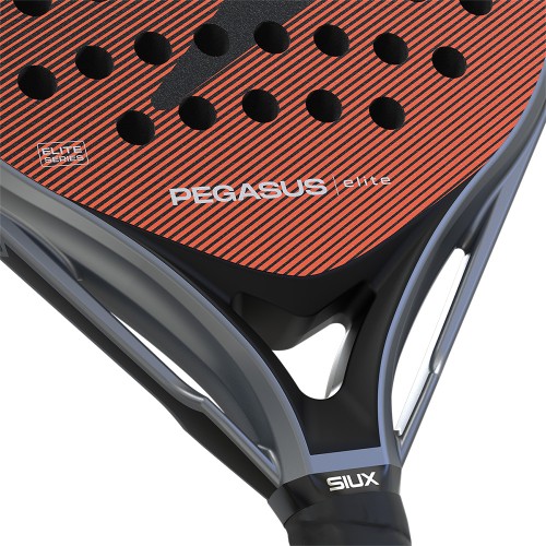Siux Pegasus elite 4