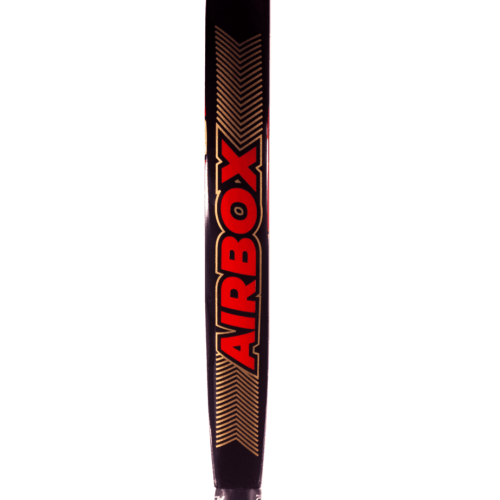 Paddle Coach da caixa de ar