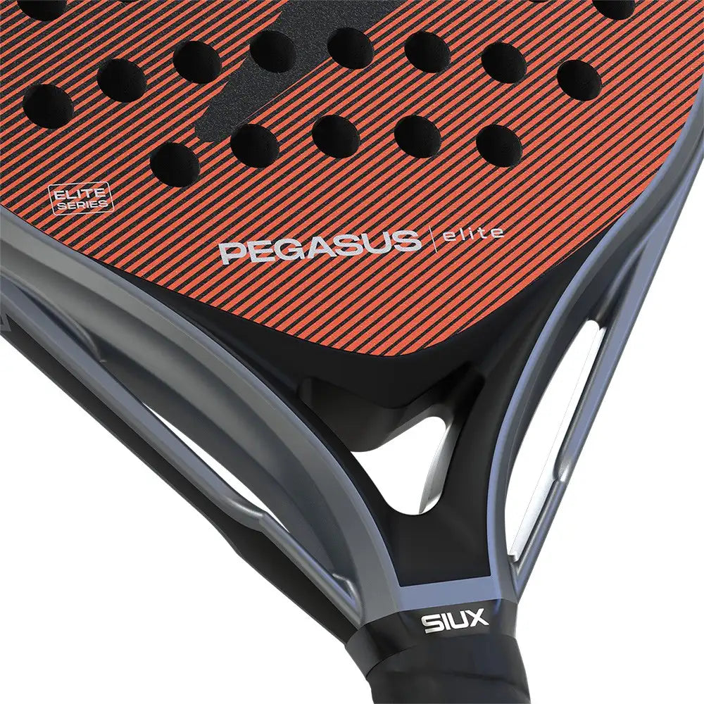 Siux Pegasus Elite 4 4