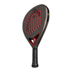 Head Coello Motion 2026 3